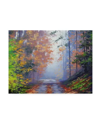 Graham Gercke Autumn Forest Road Canvas Art