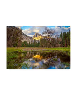 Dave Gordo A Mothers Tree Canvas Art