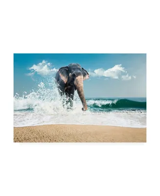 PhotoINC Studio Elephant on the Beach Canvas Art - 15.5" x 21"