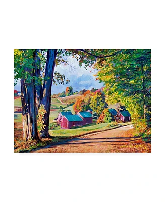 David Lloyd Glover Road to Jenne Farm Vermont Canvas Art - 20" x 25"