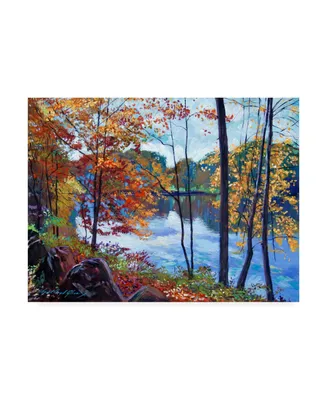David Lloyd Glover View Across the Lake Canvas Art