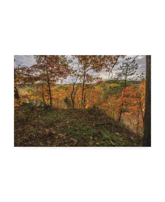 Kurt Shaffer Multi-Color Ohio Autumn Canvas Art