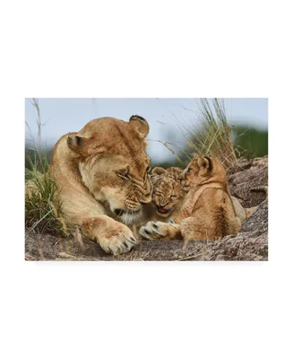 Aziz Albagshi Nostalgia Lioness with Cubs Canvas Art