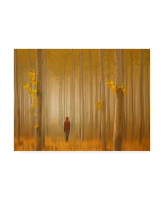 Lydia Jacobs Lost in Autumn Canvas Art - 15" x 20"