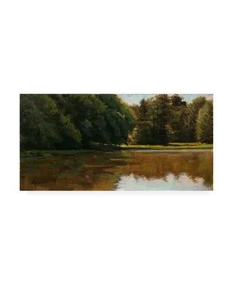 Michael Budden Summer Light White Pine Rd Pond Canvas Art