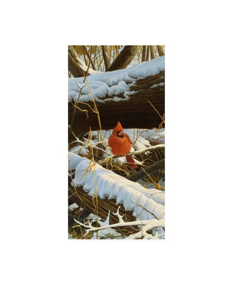 Michael Budden Winter Playground Cardinal Canvas Art - 15" x 20"