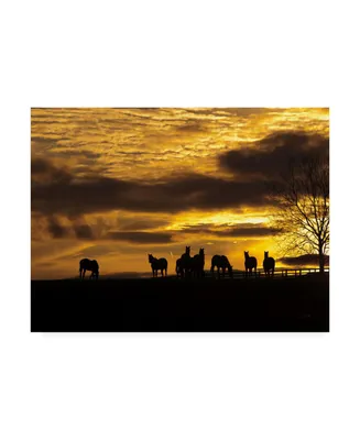 Aledanda Horses at Sunset Canvas Art