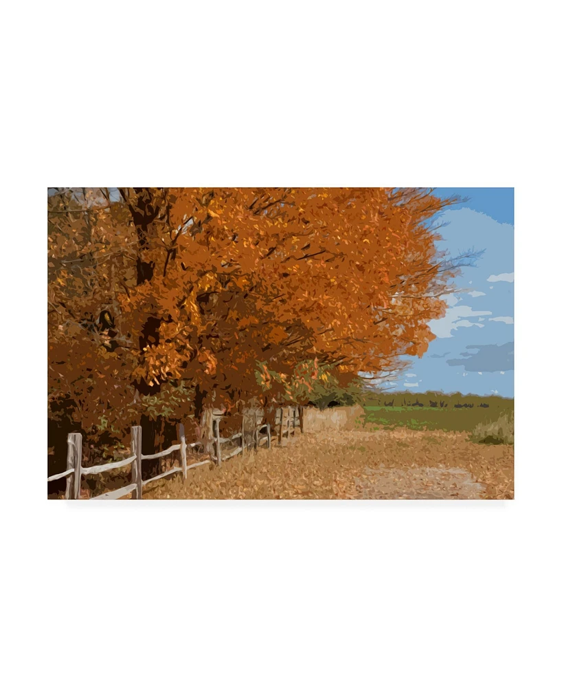 Monte Nagler Fall Color Foliage Canvas Art - 20" x 25"