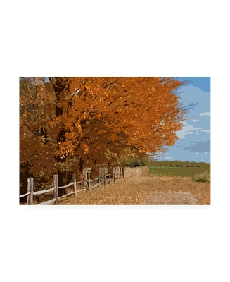 Monte Nagler Fall Color Foliage Canvas Art - 20" x 25"