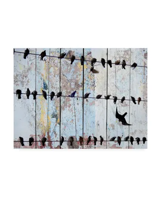 Irena Orlov Birds on Wood Iv Canvas Art