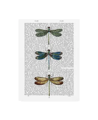 Fab Funky Dragonflies Print Canvas Art