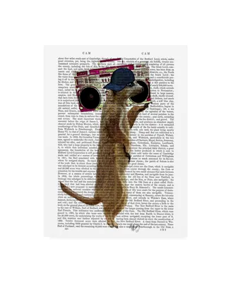 Fab Funky Meerkat with Boom Box Canvas Art