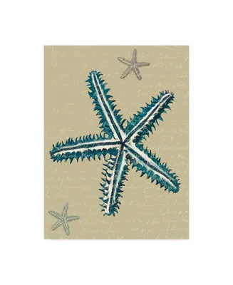 Fab Funky Blue Starfish on Taupe a Canvas Art