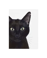 Fab Funky Cat, Portrait of Gus Canvas Art - 27" x 33.5"