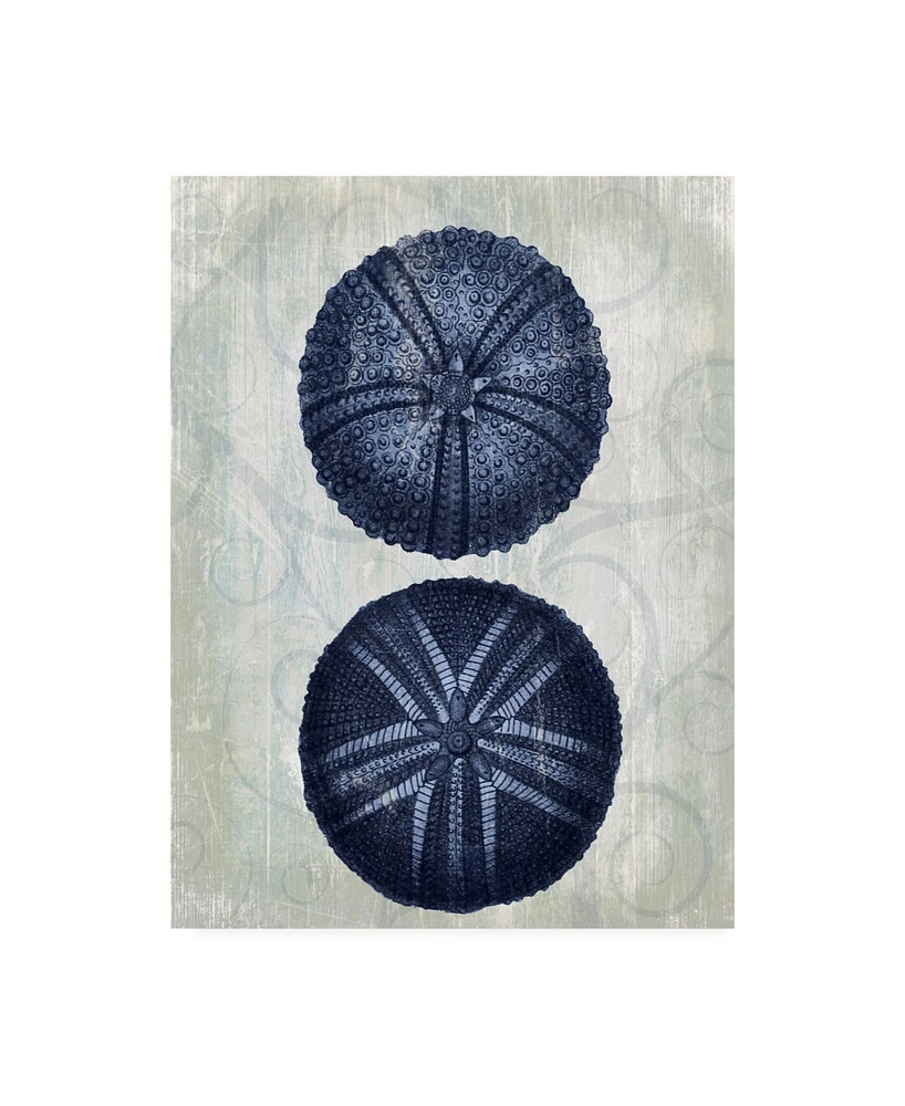 Fab Funky Indigo Blue Sea Urchins a Canvas Art - 27" x 33.5"