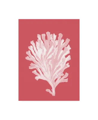 Fab Funky Corals White on Coral D Canvas Art