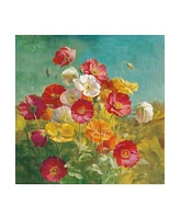 Danhui Nai Poppies in the Field Canvas Art - 36.5" x 48"