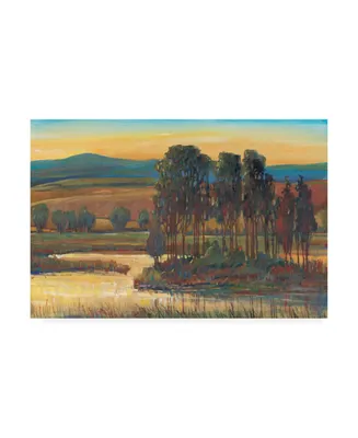 Tim Otoole Open Inlet Trees Ii Canvas Art