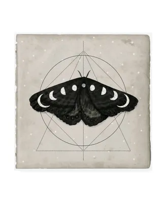 Victoria Borges Midnight Moth I Canvas Art