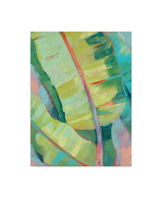 Jennifer Goldberger Vibrant Palm Leaves I Canvas Art - 37" x 49"
