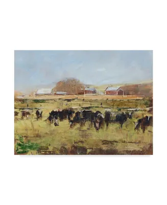 Ethan Harper Out to Pasture Ii Canvas Art - 37" x 49"