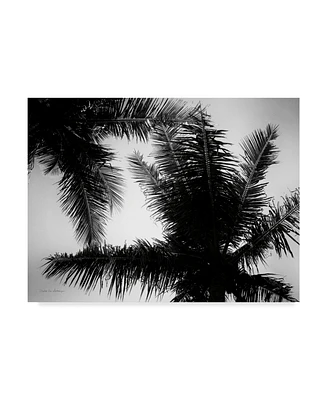 Debra Van Swearingen Palm Tree Looking Up I Canvas Art - 37" x 49"