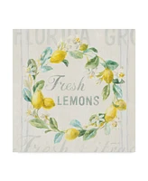 Danhui Nai Floursack Lemon V Canvas Art - 15" x 20"