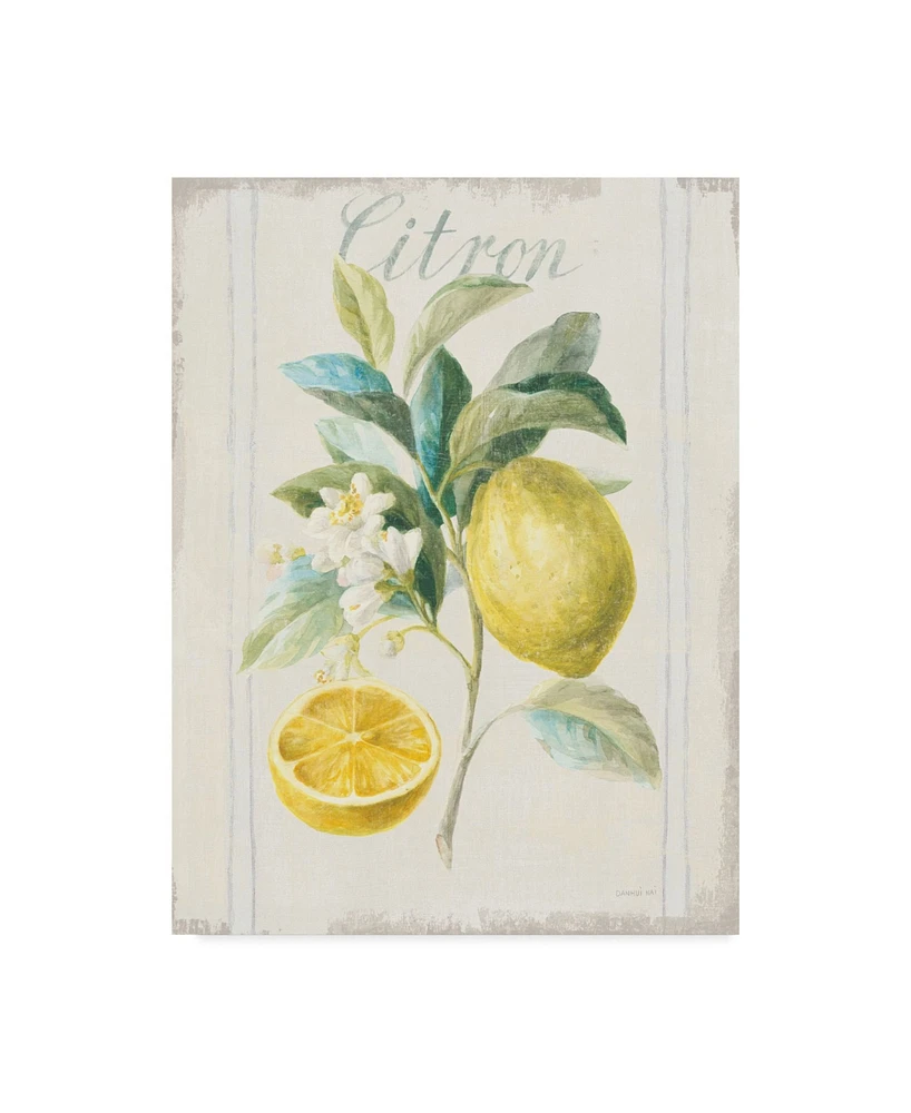 Danhui Nai Floursack Lemon Iv V2 Canvas Art - 20" x 25"