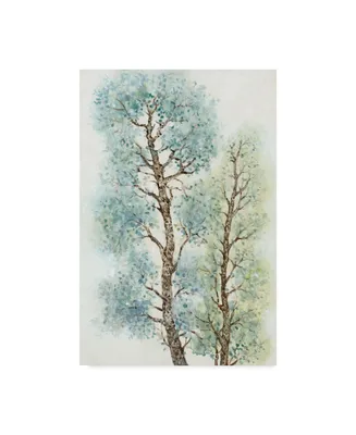 Tim Otoole Tranquil Tree Tops I Canvas Art
