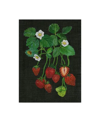 Melissa Wang Strawberry Fields Ii Canvas Art - 20" x 25"