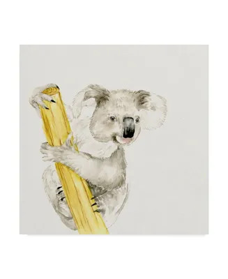 Melissa Wang Baby Koala Ii Canvas Art - 27" x 33"