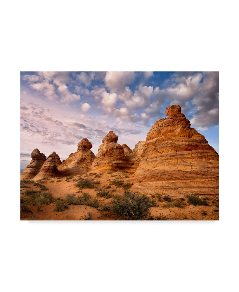 David Drost Arizona Peaks I Canvas Art - 37" x 49"