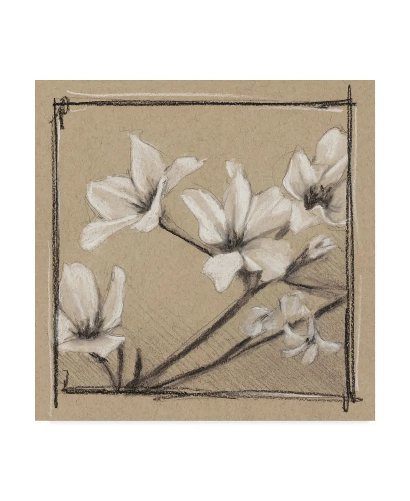 Ethan Harper White Floral Study I Canvas Art