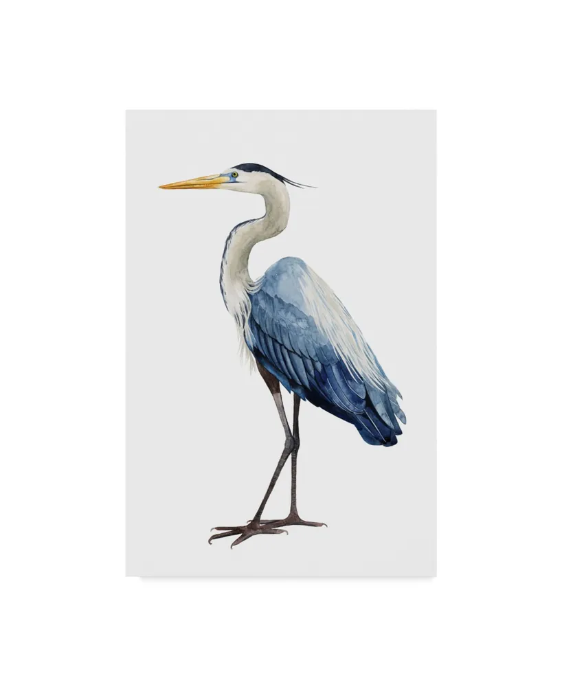 Grace Popp Seabird Heron I Canvas Art - 15" x 20"