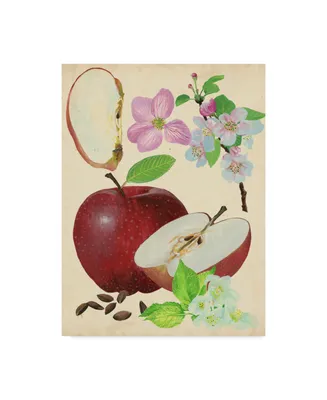 Melissa Wang Apple and Blossom Study I Canvas Art