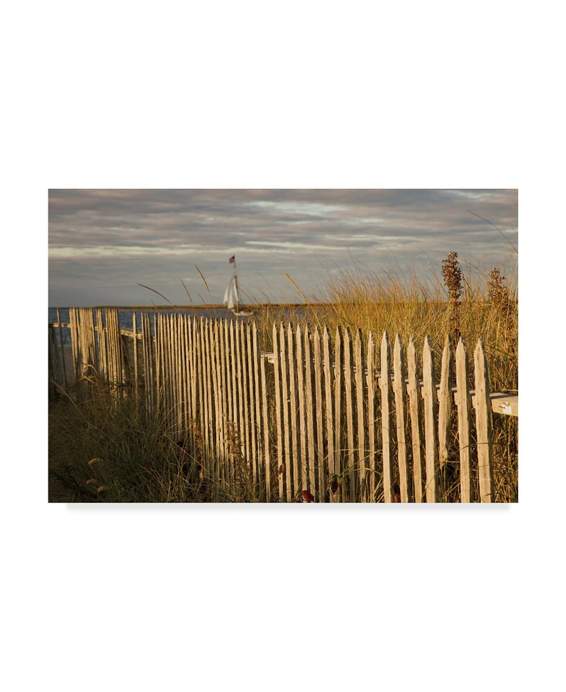 Aledanda Along the Beach Fence I Canvas Art - 20" x 25"