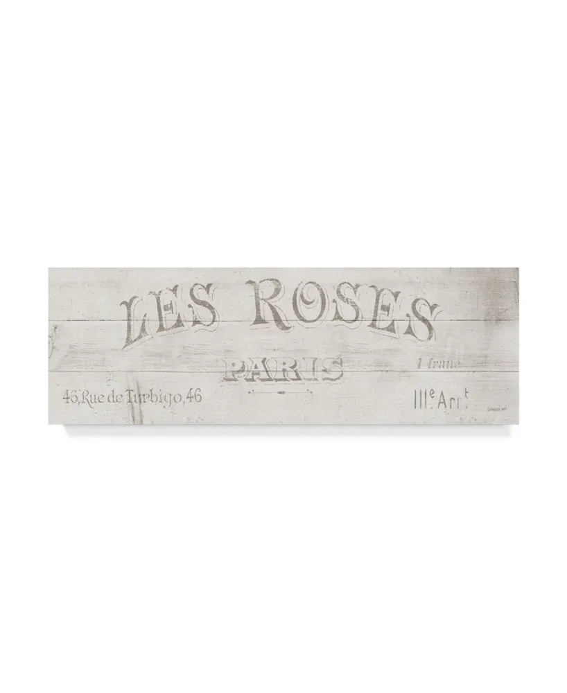 Danhui Nai French Roses Vii Canvas Art