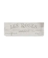 Danhui Nai French Roses Vii Canvas Art