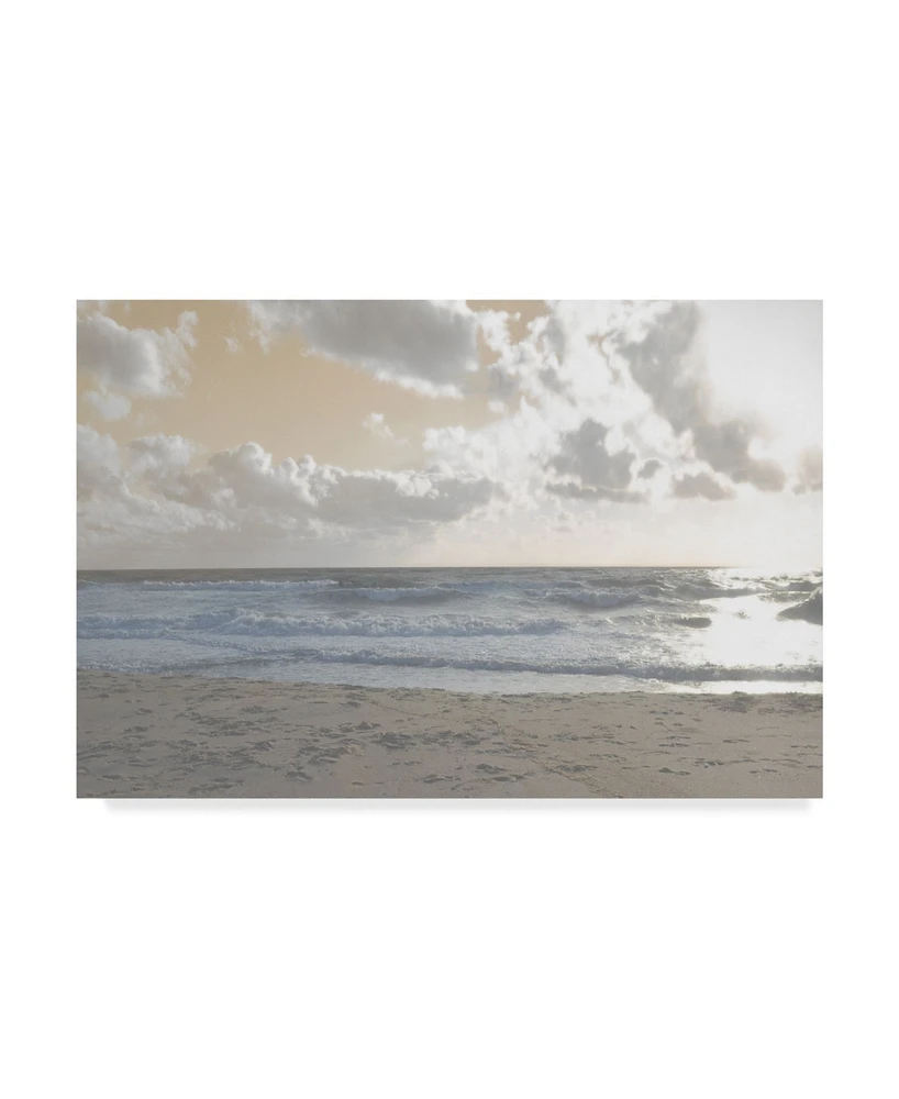 Sharon Chandler Serene Sea 3 Canvas Art - 37" x 49"