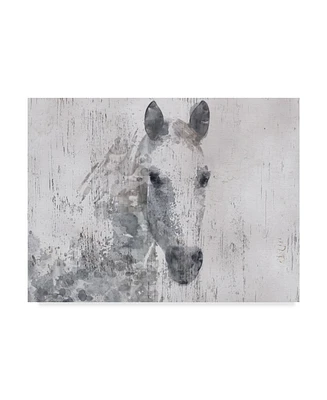 Irena Orlov Dapple Horse I Canvas Art - 37" x 49"