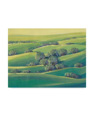 Tim Otoole Hillside View Ii Canvas Art