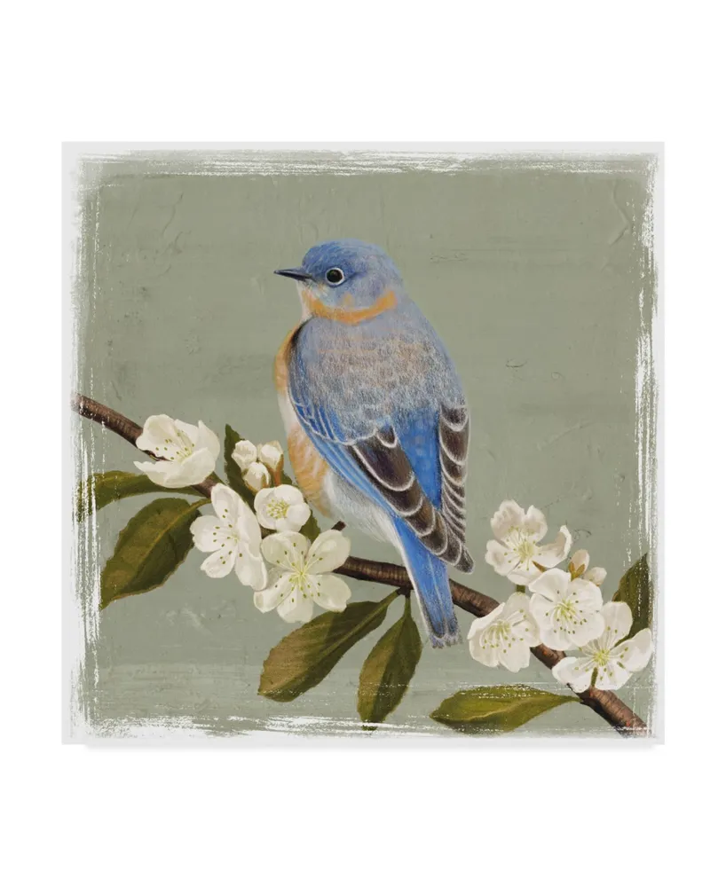 Victoria Borges Bluebird Branch Ii Canvas Art - 15" x 20"