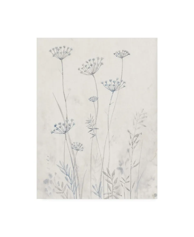 Tim Otoole Neutral Queen Anne's Lace Ii Canvas Art