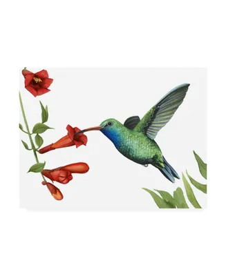Grace Popp Hummingbird and Flower I Canvas Art