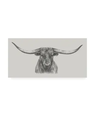 Ethan Harper Longhorn Bull Canvas Art