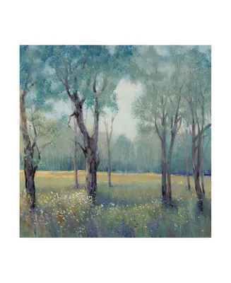 Tim Otoole Thin Morning Mist Canvas Art