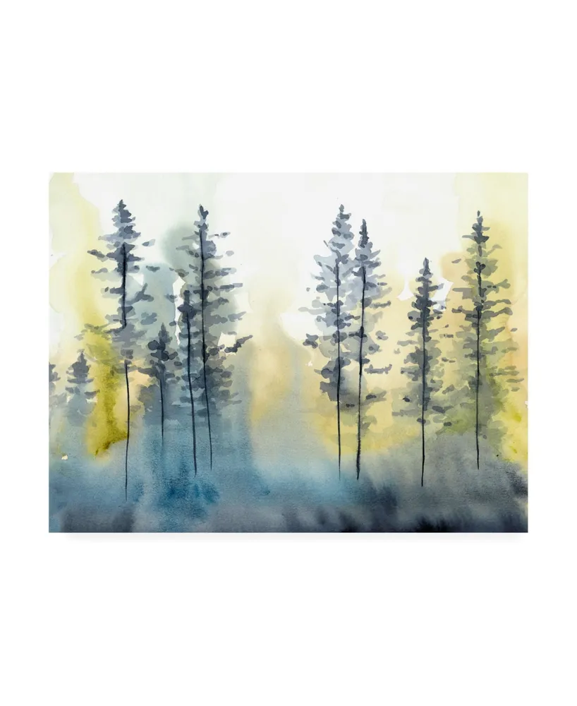 Chariklia Zarris Shadow Forest I Canvas Art