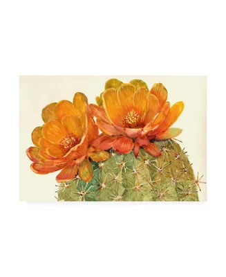 Tim Otoole Cactus Blossoms Ii Canvas Art - 37" x 49"