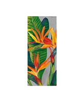 Tim Otoole Bird of Paradise Triptych Ii Canvas Art - 37" x 49"