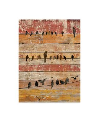 Irena Orlov Birds on Wood Ii Canvas Art